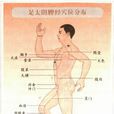 足太陰脾經