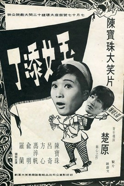 玉女添丁(1968年楚原執導電影)