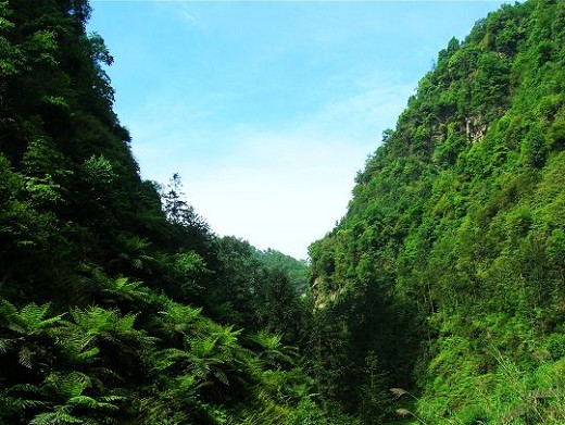 龍抱山自然風景區