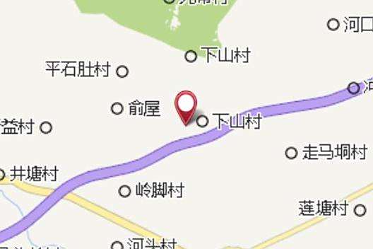 平垌黃 平垌黃