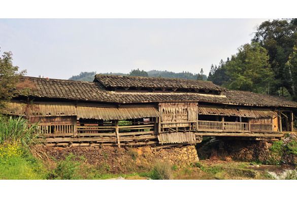 迪口村 迪口村