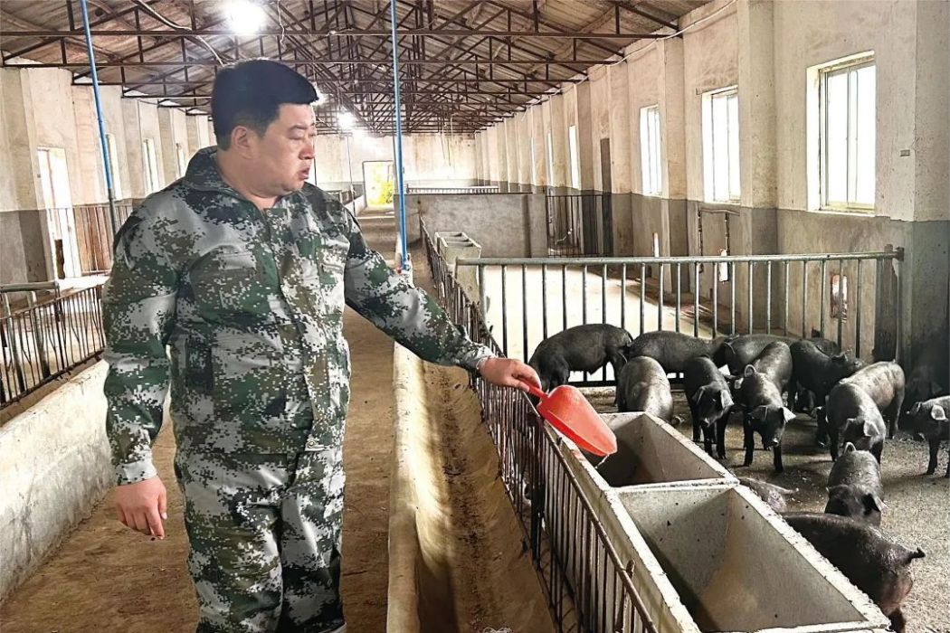 徐軍海(陝西省周至縣海博養殖專業合作社負責人、周至富海肉業有限責任公司董事長) 徐軍海(陝西省周至縣海博養殖專業合作社負責人、周至富海肉業有限責任公司董事長)