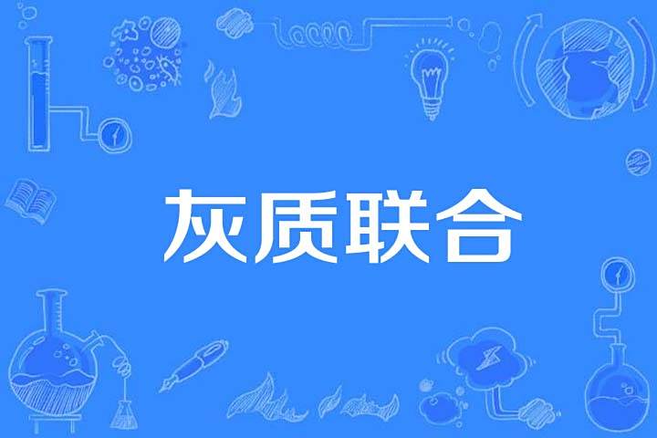 灰質聯合 灰質聯合