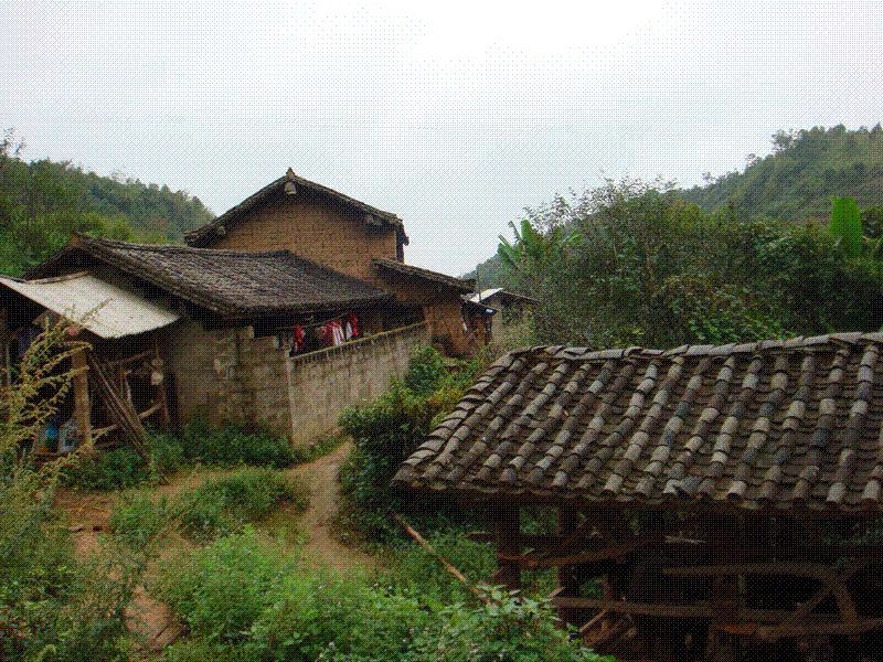 椿木箐村 椿木箐村