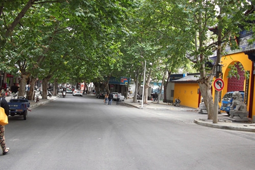 庾亮路 庾亮路