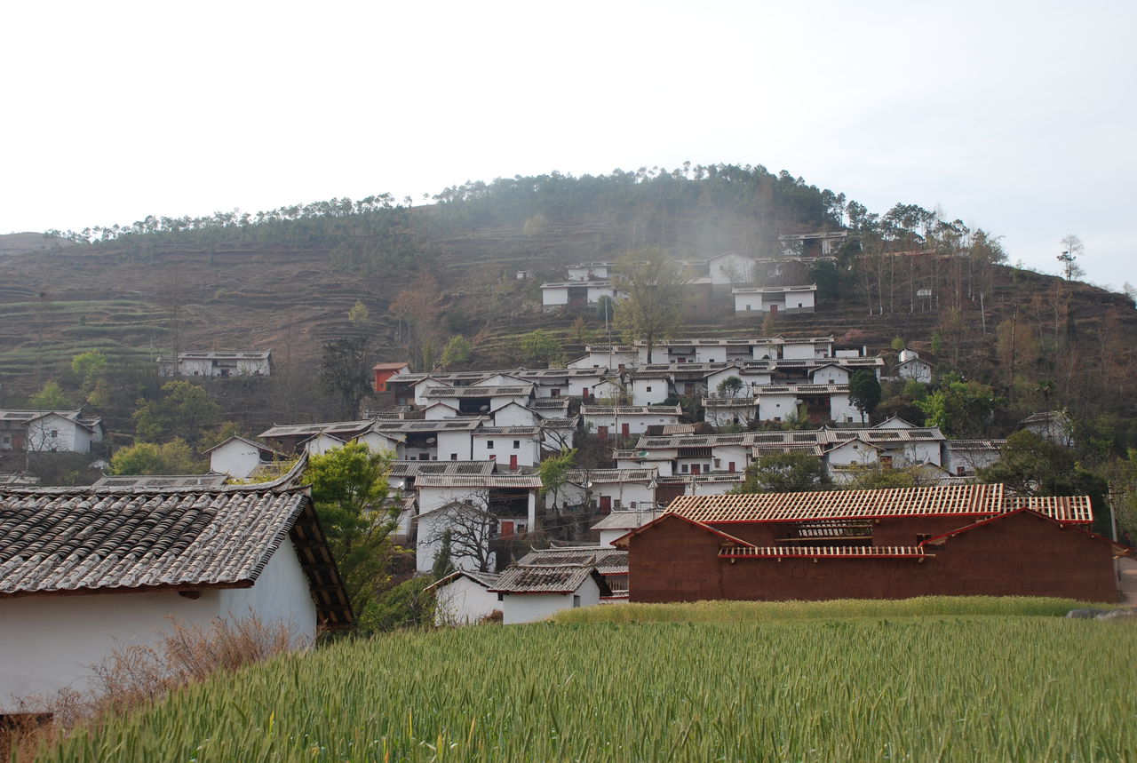 陽西行政村