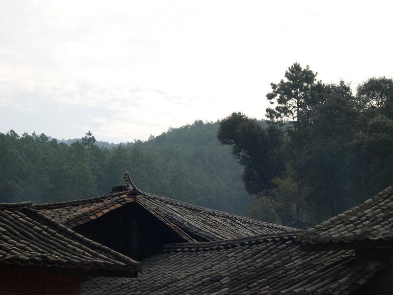 龍潭組村 龍潭組村
