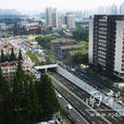 虎踞路 虎踞路