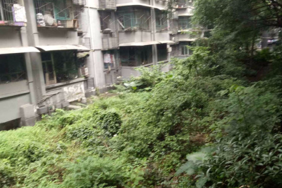 古樓三村 古樓三村