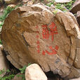 同心石 同心石