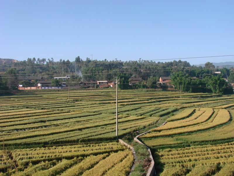 黑七村 黑七村