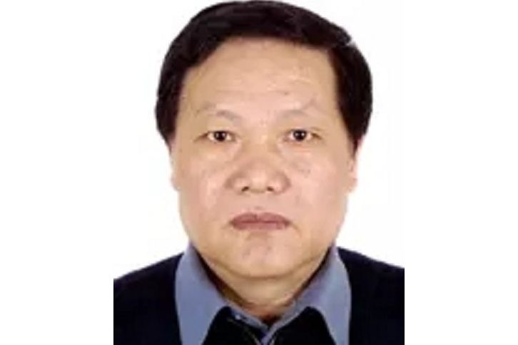 陳新(生益科技獨立董事) 陳新(生益科技獨立董事)