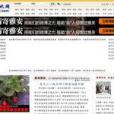 奇比網 奇比網