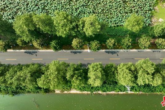 東墾路(武漢市東西湖區道路) 東墾路(武漢市東西湖區道路)