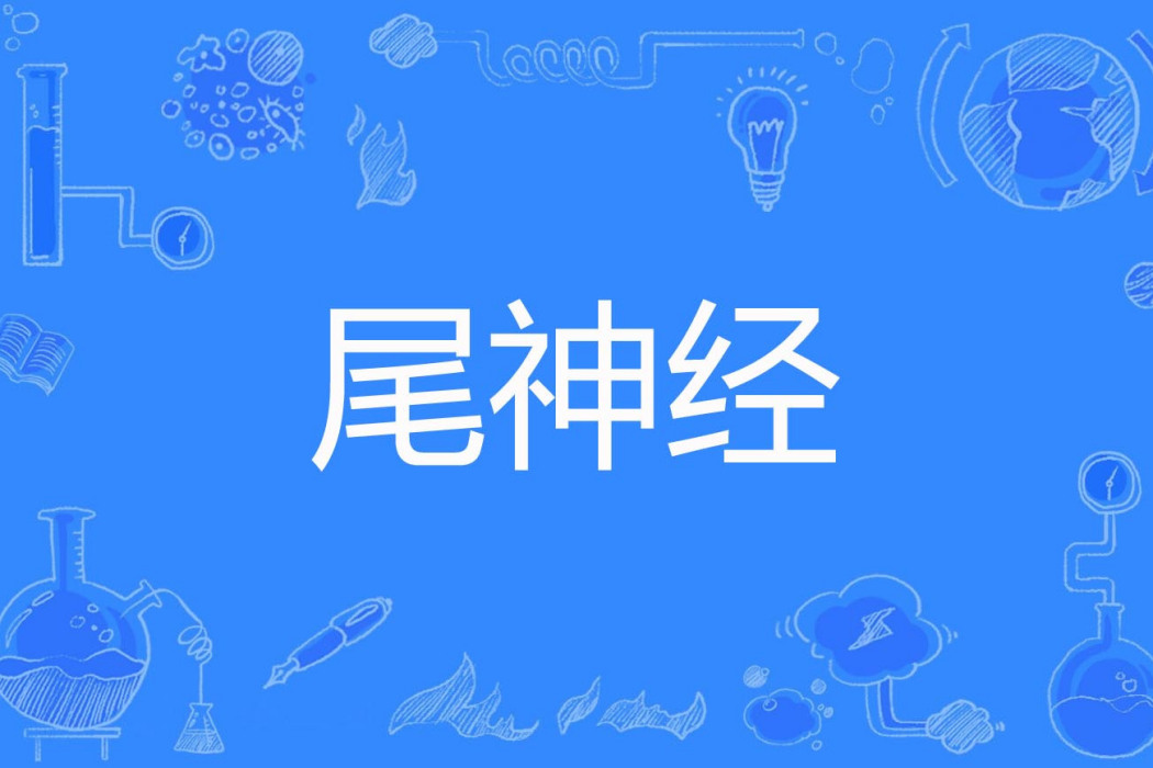 尾神經 尾神經