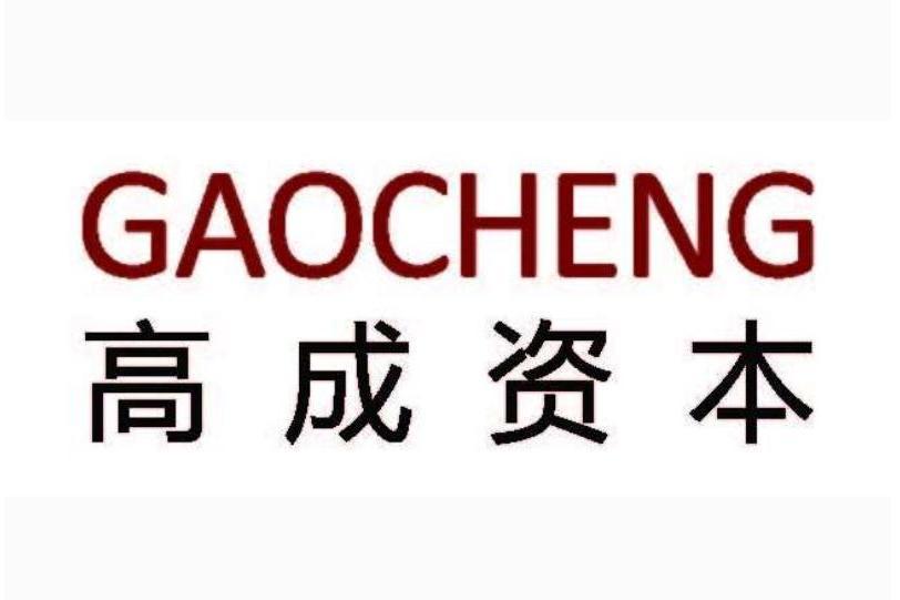 高成資本 高成資本