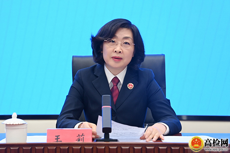 王莉(最高檢第六檢察廳副廳長) 王莉(最高檢第六檢察廳副廳長)