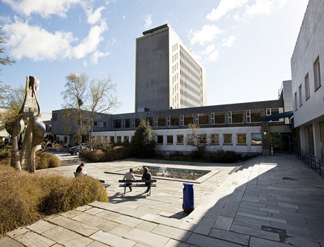 挪威經濟學院