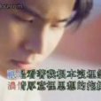 想你一整夜(蔡琴演唱歌曲) 想你一整夜(蔡琴演唱歌曲)