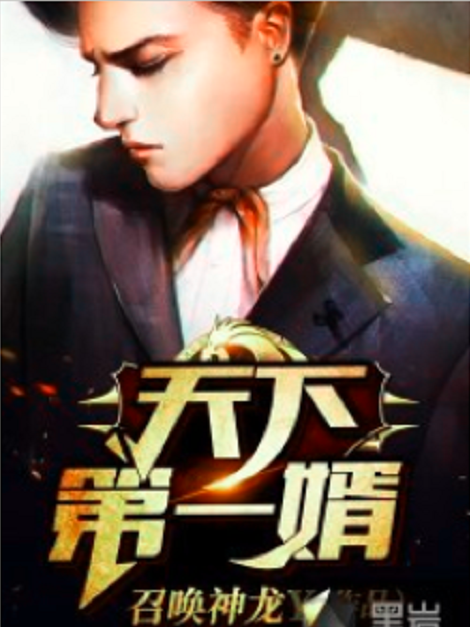 天下第一婿(召喚神龍Y創作的網路小說) 天下第一婿(召喚神龍Y創作的網路小說)