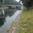 安河橋(北京地名) 安河橋(北京地名)