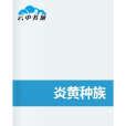 炎黃種族 炎黃種族