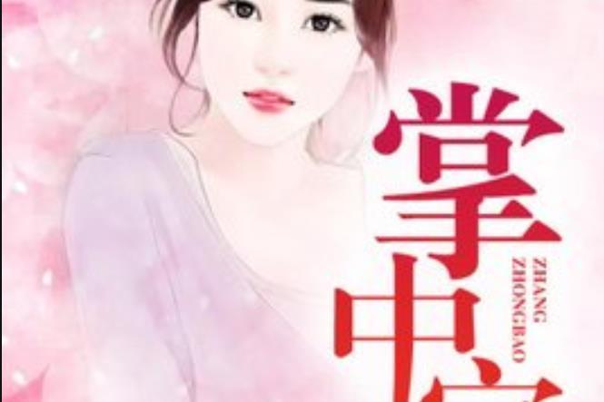 掌中寶(慕逸晨所著小說)