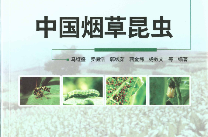 中國菸草昆蟲
