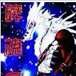 碎魂錄 碎魂錄