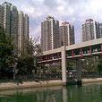 大埔新市鎮