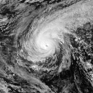 1月12日14時颱風Roy的衛星雲圖