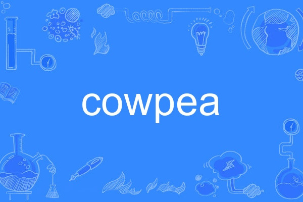 cowpea cowpea
