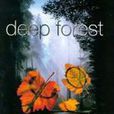 Deep forest
