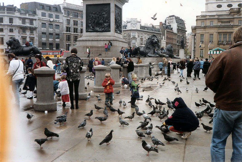 特拉法加廣場過去以鴿子成群而聞名（1993）