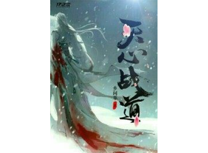 天心戰道 天心戰道