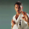 安迪·哈格(Andy Hug) 安迪·哈格(Andy Hug)