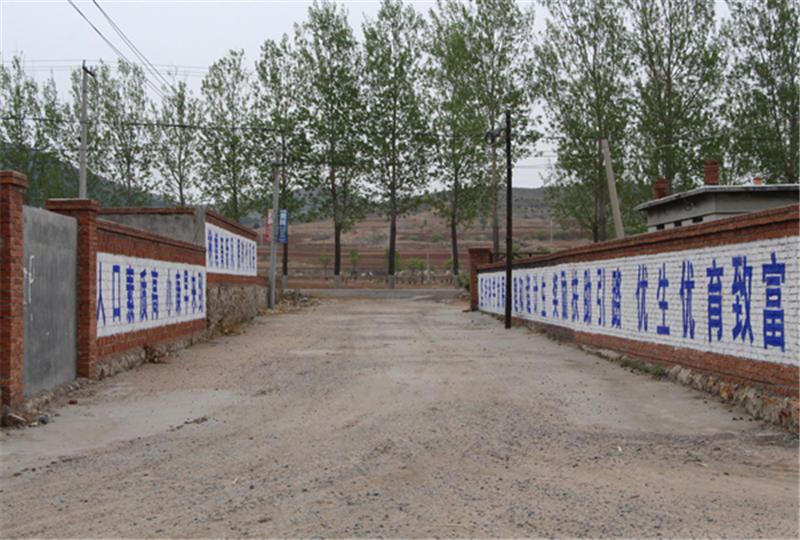 生金皋村 生金皋村