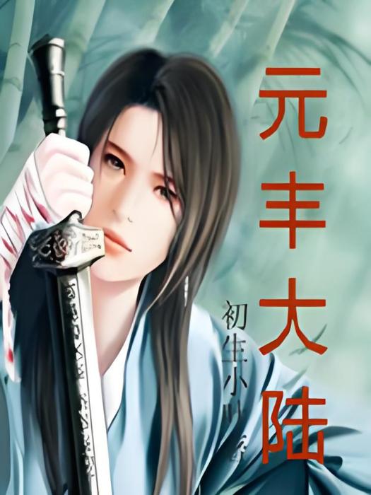 元豐大陸