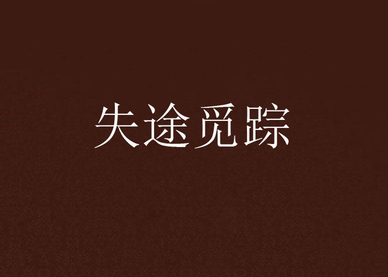失途覓蹤 失途覓蹤