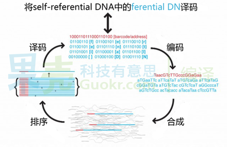 DNA硬碟原理