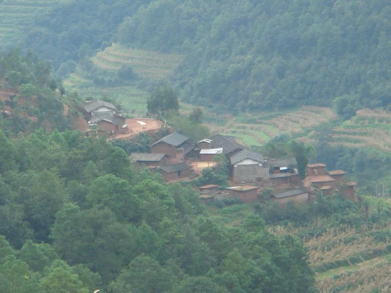 大草房村(雲南雙柏縣妥甸鎮下轄村)