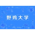 野雞大學(野雞學院) 野雞大學(野雞學院)