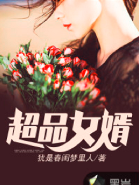 超品女婿 超品女婿
