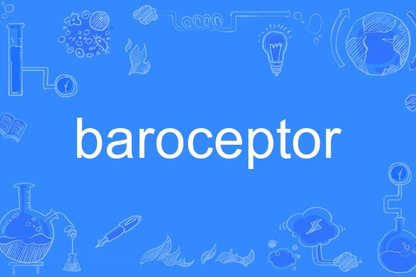 baroceptor baroceptor