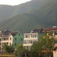新誼村 新誼村