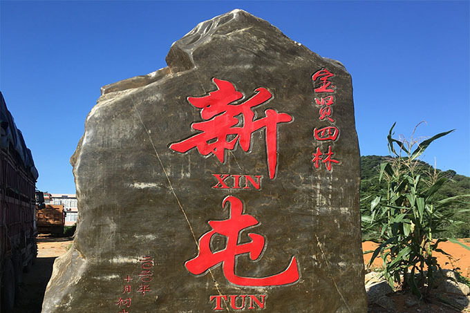 四林新屯 四林新屯