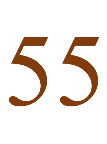 55 55