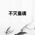 不滅皇魂 不滅皇魂