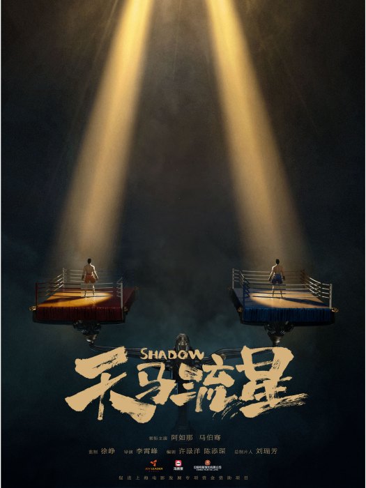 天馬流星(李霄峰執導的電影)