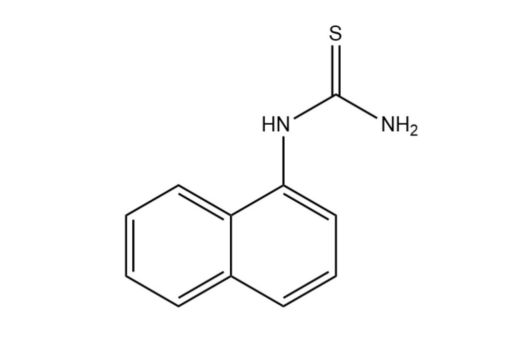 1-萘基硫脲 1-萘基硫脲